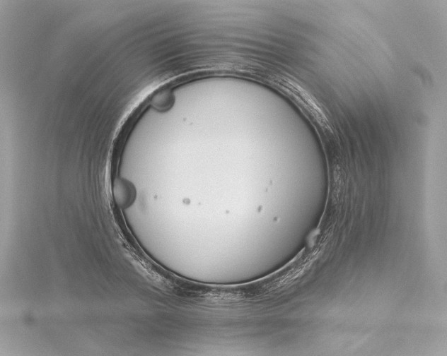 X0000115430788200911251225