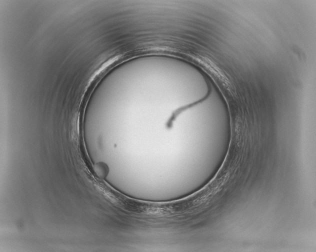 X0000115430790200911251225