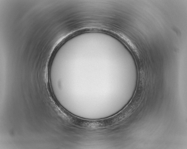 X0000115430791200911251224