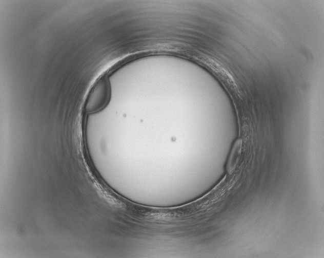 X0000115430792200911251224