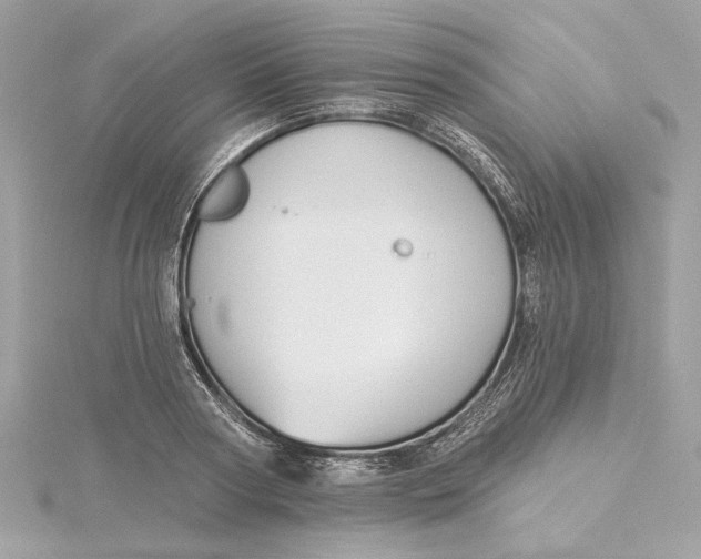 X0000115430794200911251224