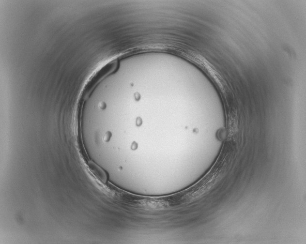 X0000115430795200911251224