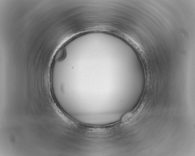 X0000115430800200911251224