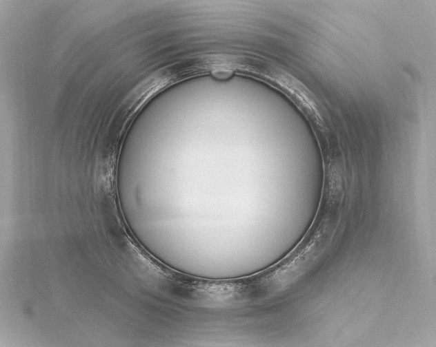 X0000115430801200911251224