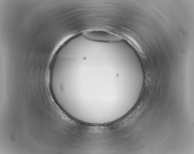 X0000115430804200911251224