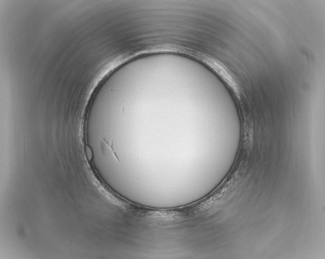 X0000115430805200911251224