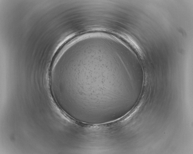 X0000115430806200911251224