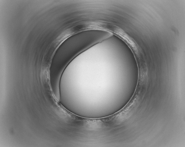 X0000115430809200911251224