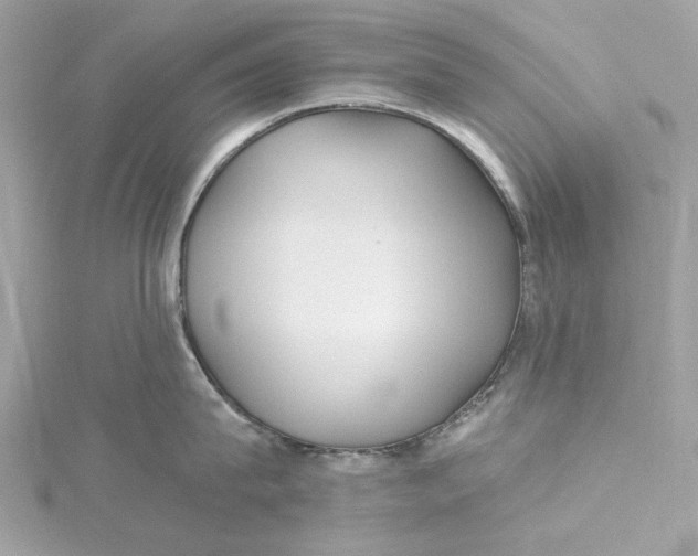 X0000115430815200911251224