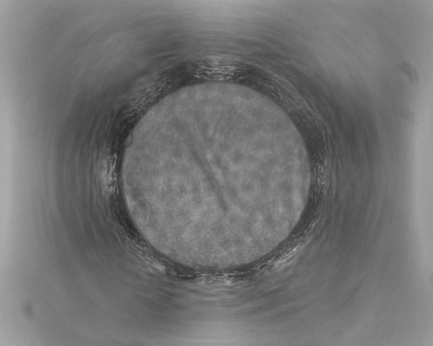 X0000115430818200911251223