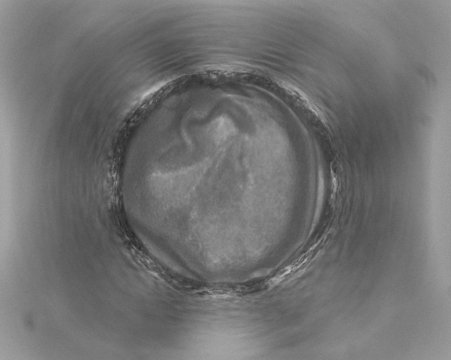 X0000115430822200911251223