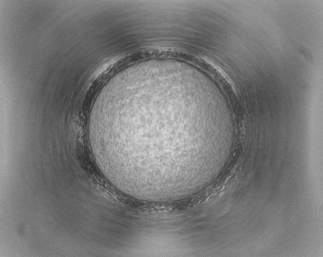 X0000115430823200911251223