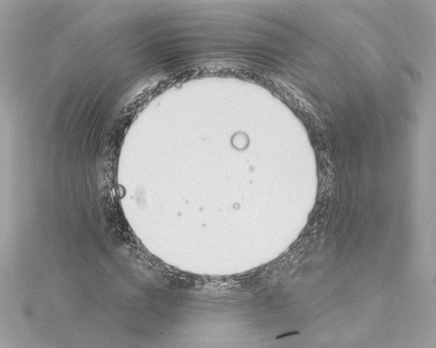 X0000115430824200911251223