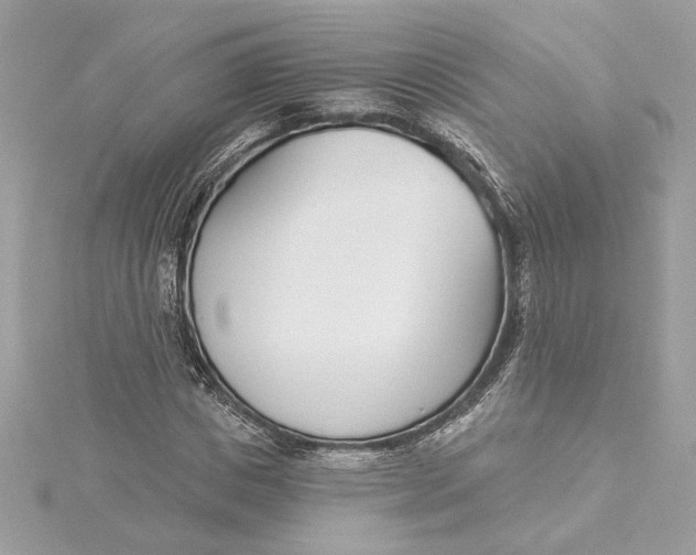 X0000115430825200911251223