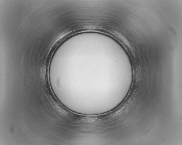 X0000115430831200911251224