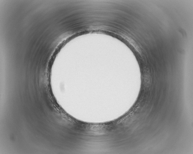 X0000115430832200911251224