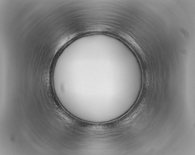 X0000115430834200911251224