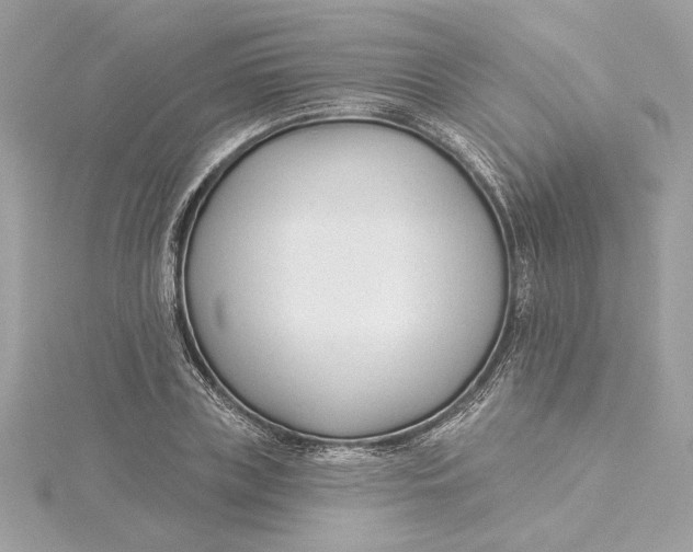 X0000115430835200911251224