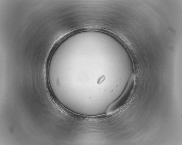 X0000115430840200911251224