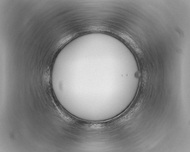 X0000115430841200911251224