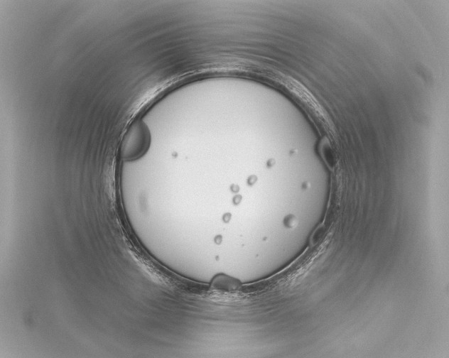 X0000115430842200911251224