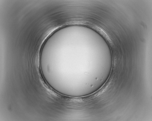 X0000115430844200911251224