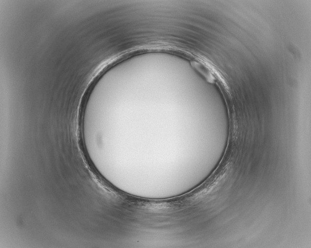 X0000115430845200911251224