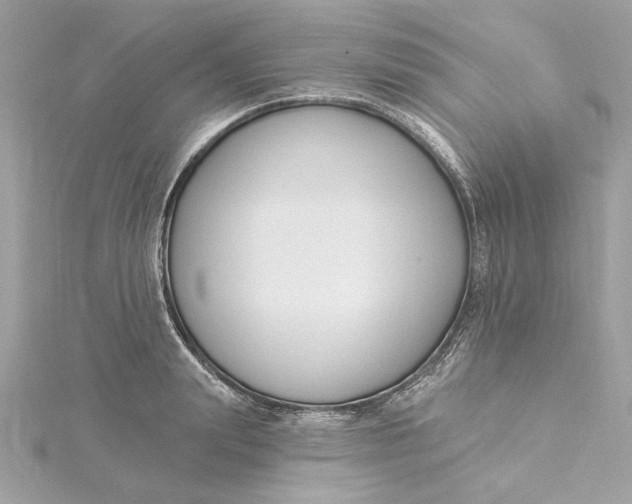 X0000115430847200911251224