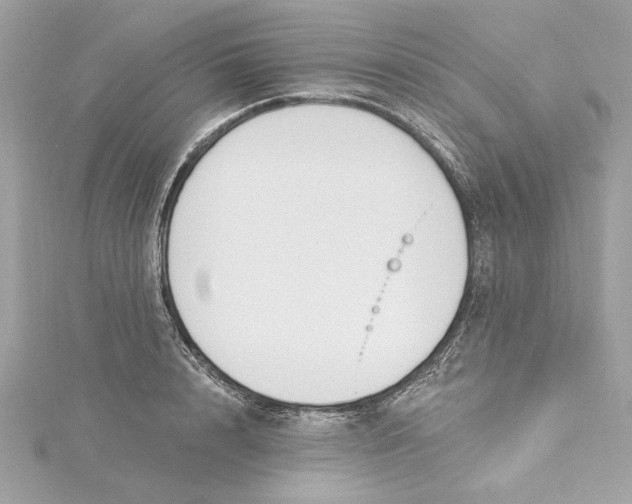 X0000115430848200911251224