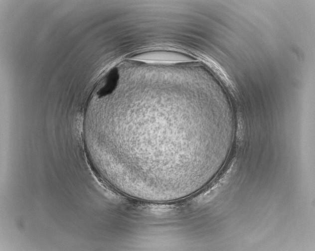 X0000115430849200911251224