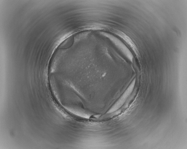 X0000115430850200911251224