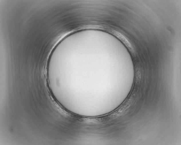 X0000115430852200911251224