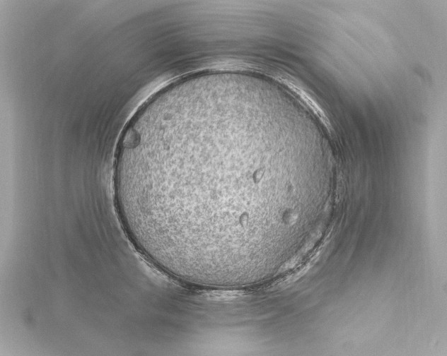 X0000115430853200911251224