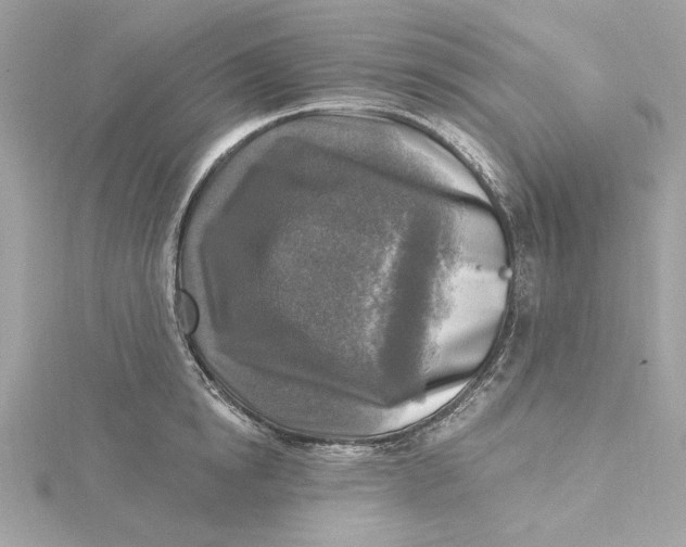 X0000115430854200911251224