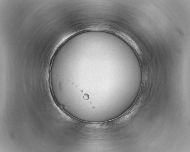 X0000115430855200911251224