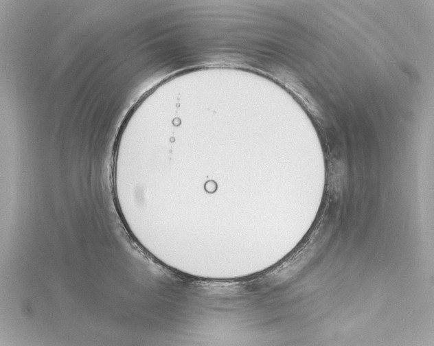 X0000115430856200911251224