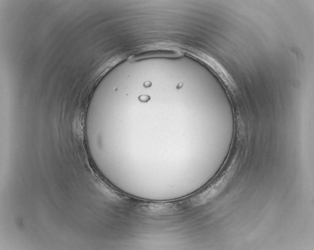 X0000115430857200911251224