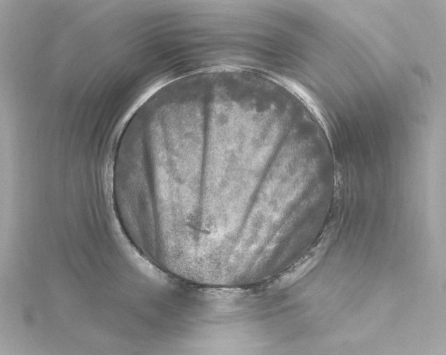 X0000115430859200911251224