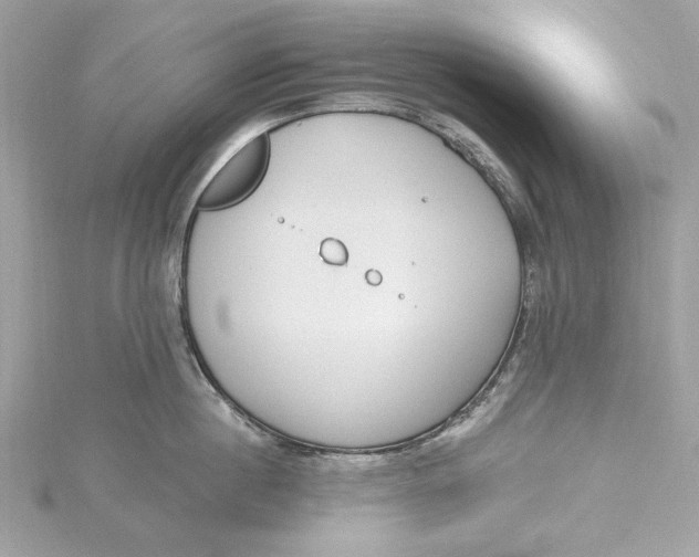 X0000115430860200911251224