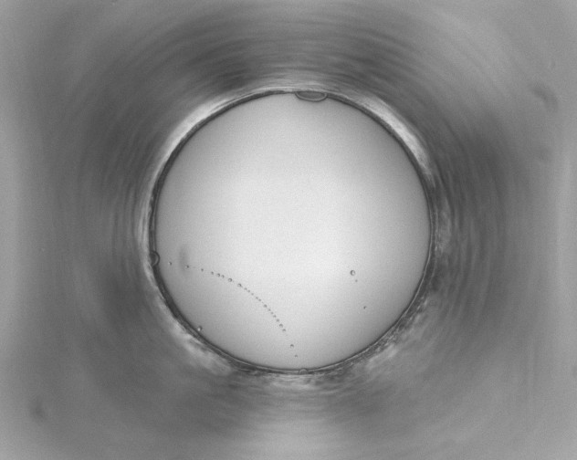 X0000115430861200911251224