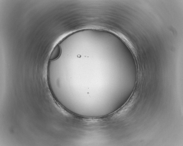 X0000115430862200911251224