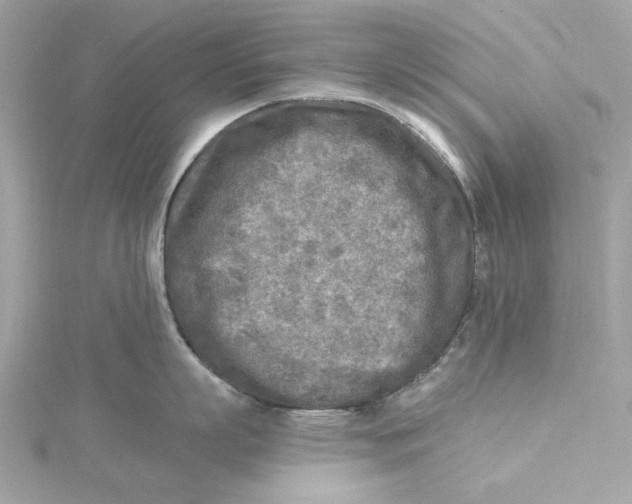 X0000115430863200911251224