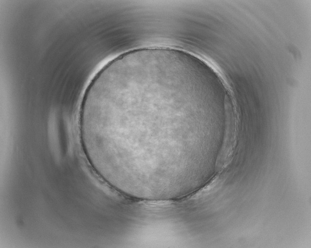 X0000115430864200911251224