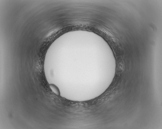 X0000115430869200911251223