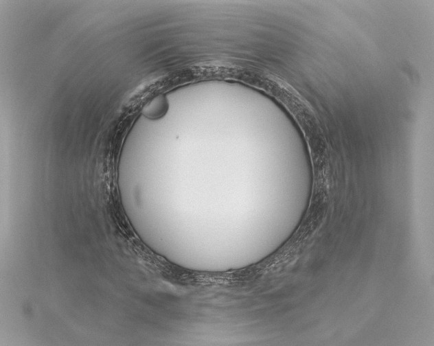 X0000115430870200911251223