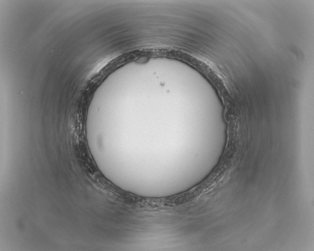 X0000115430871200911251223