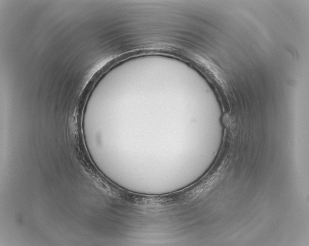 X0000115430875200911251223