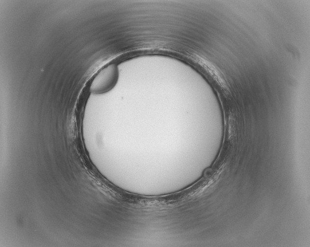 X0000115430876200911251223