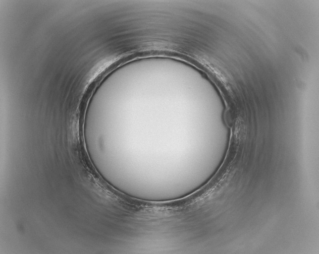 X0000115430877200911251223