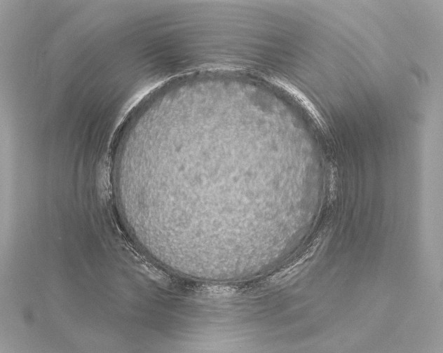 X0000115430878200911251223